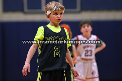 Mambas Basketball 2024