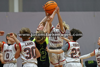 Mambas Basketball 2024