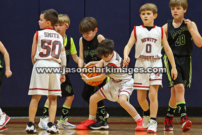 Mambas Basketball 2024