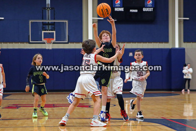 Mambas Basketball 2024