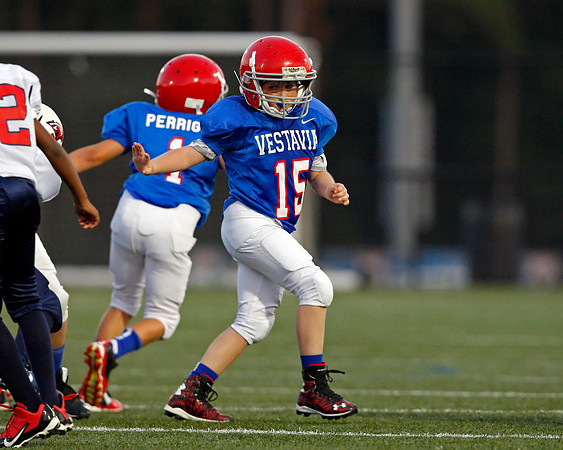 Vestavia Hills 4