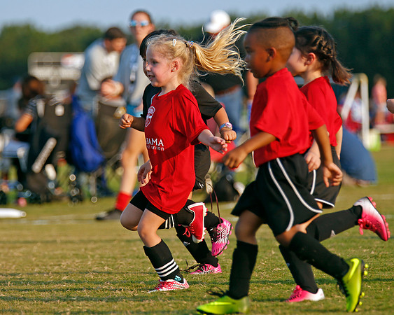 AHSAAFB: Green County at Carbon Hill