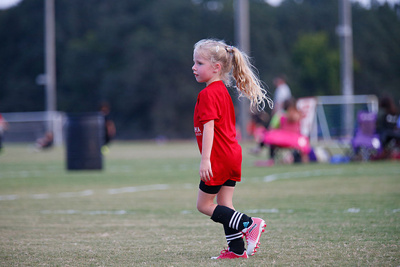 AHSAAFB: Green County at Carbon Hill