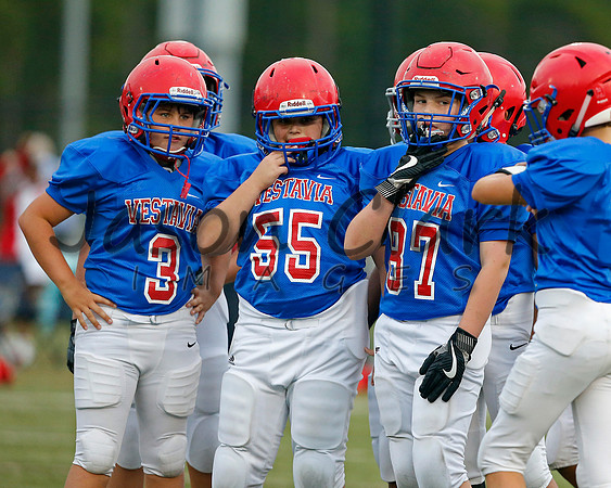 Vestavia Hills 6th Blue