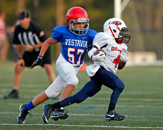 Vestavia Hills 4