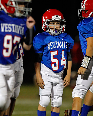 Vestavia Hills 4