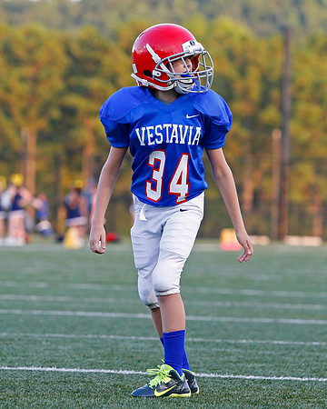 Vestavia Hills 4