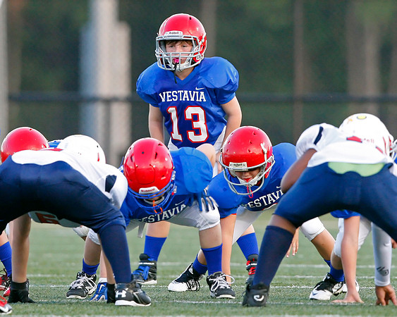 Vestavia Hills 4
