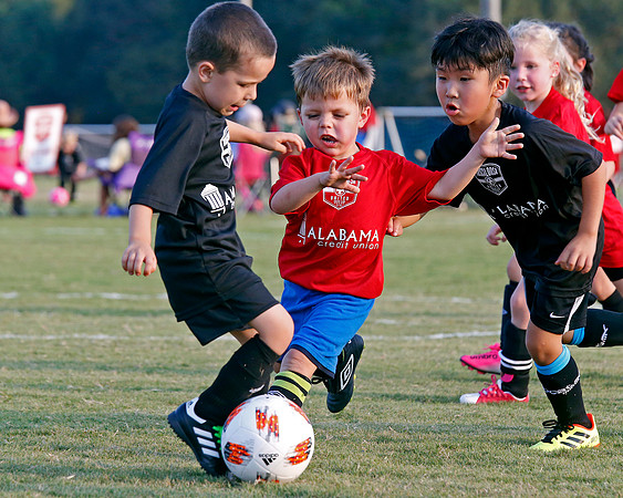 AHSAAFB: Green County at Carbon Hill