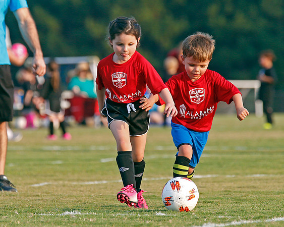 AHSAAFB: Green County at Carbon Hill