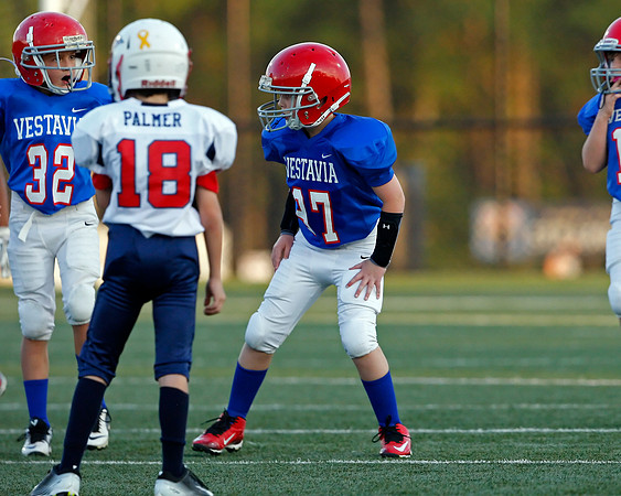 Vestavia Hills 4