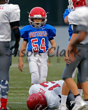 Vestavia Hills 6th Blue