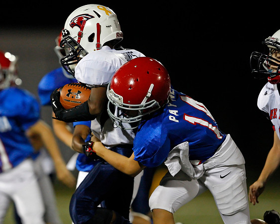 Vestavia Hills 4