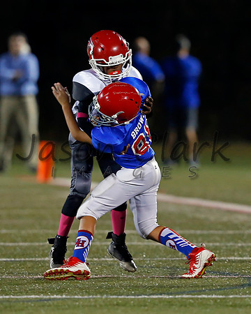 Vestavia Hills 4th Grade