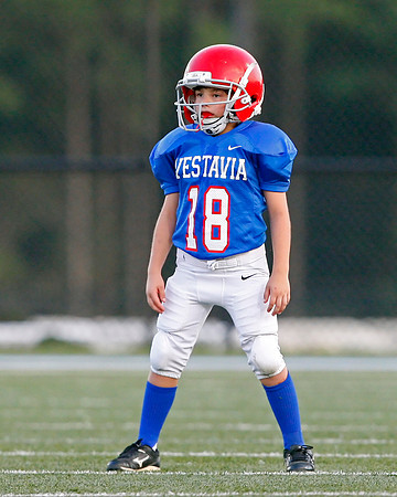 Vestavia Hills 4