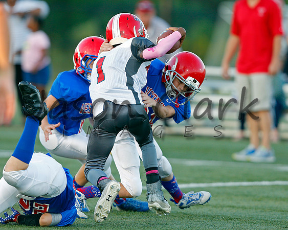 Vestavia Hills 4th Grade