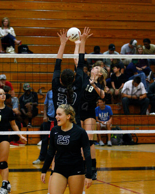 Walker Volleyball