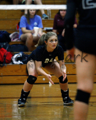 Walker Volleyball