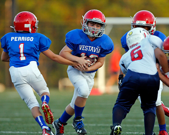 Vestavia Hills 4