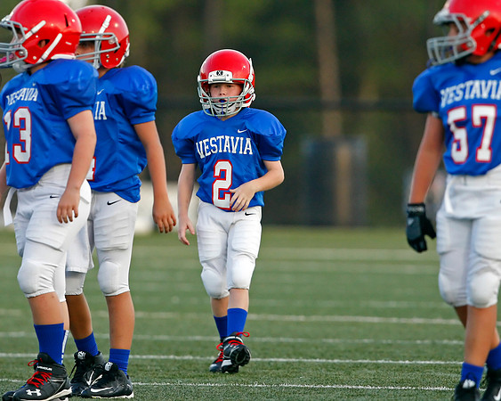 Vestavia Hills 4