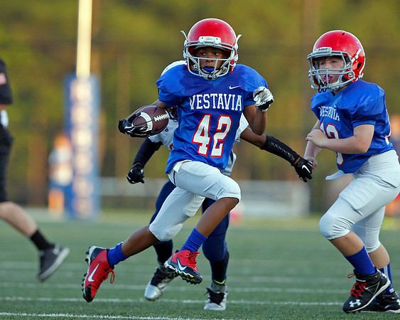 Vestavia Hills 4