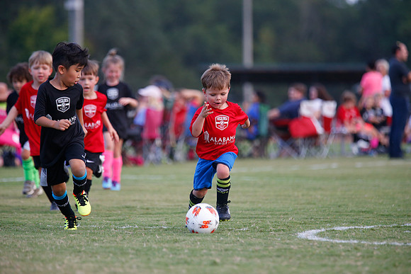 AHSAAFB: Green County at Carbon Hill