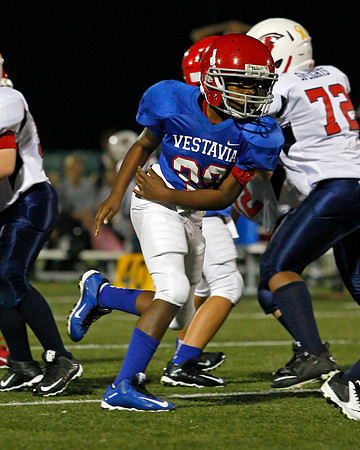 Vestavia Hills 4