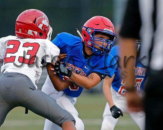Vestavia Hills 6th Blue