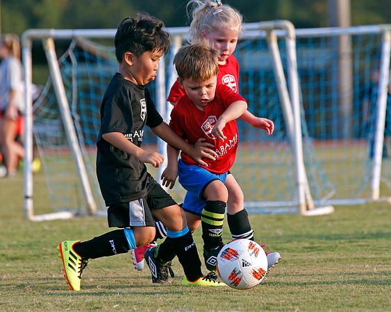 AHSAAFB: Green County at Carbon Hill