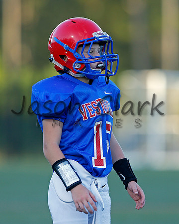 Vestavia Hills 4th Grade