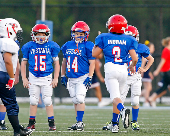 Vestavia Hills 4