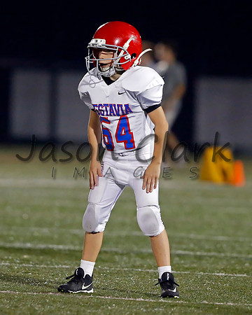 Vestavia Hills 6th Blue