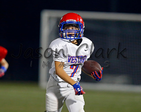 Vestavia Hills 6th Blue