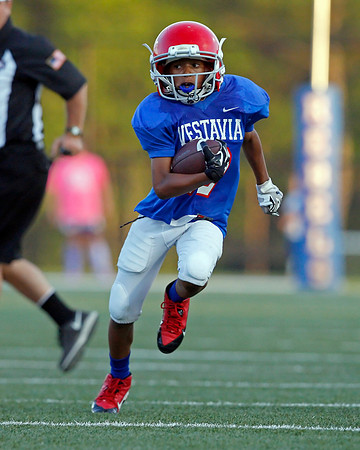 Vestavia Hills 4