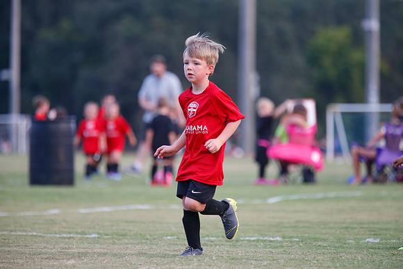 AHSAAFB: Green County at Carbon Hill