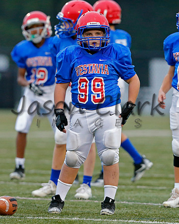 Vestavia Hills 6th Blue