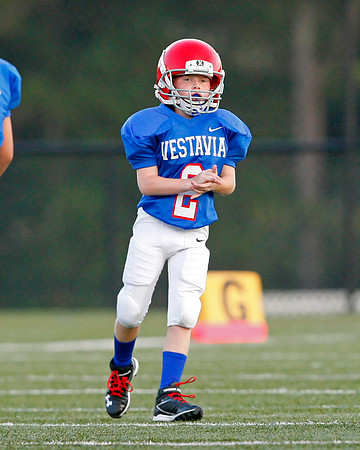 Vestavia Hills 4