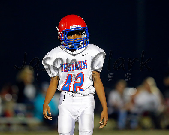 Vestavia Hills 6th Blue