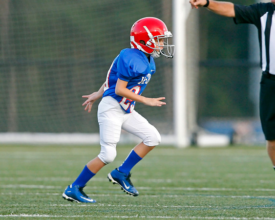 Vestavia Hills 4