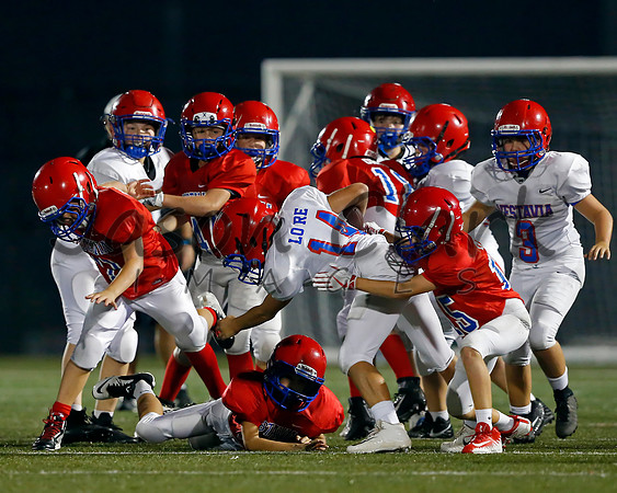Vestavia Hills 6th Red