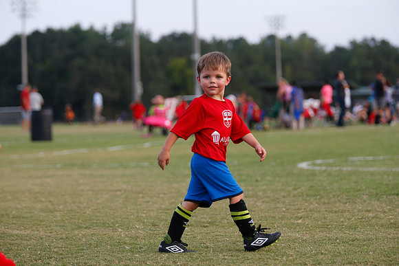 AHSAAFB: Green County at Carbon Hill