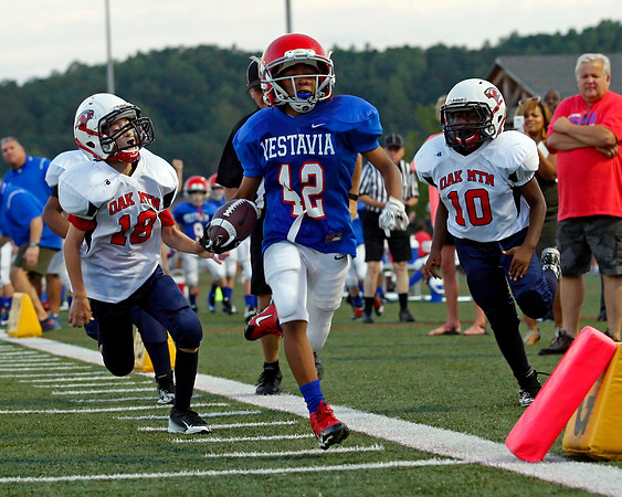 Vestavia Hills 4