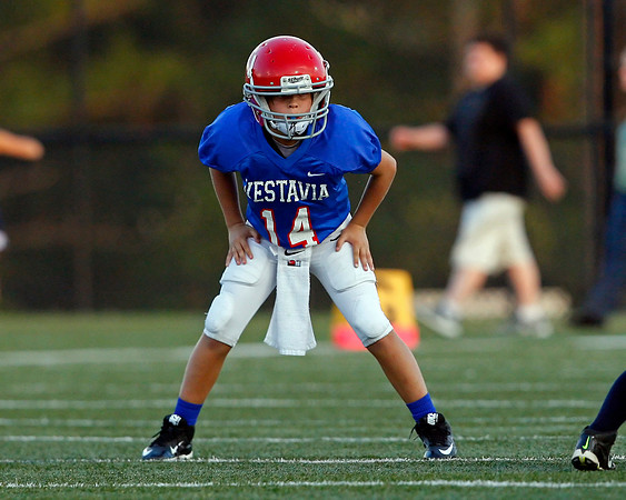 Vestavia Hills 4
