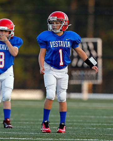 Vestavia Hills 4