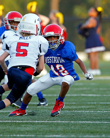 Vestavia Hills 4