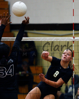 Walker Volleyball