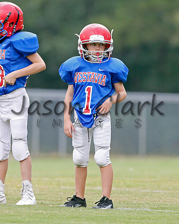 Vestavia Hills 3rd