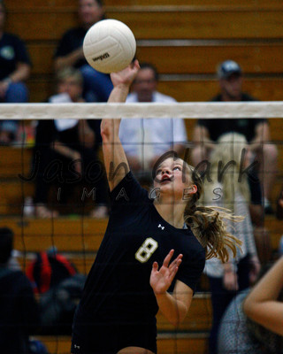 Walker Volleyball