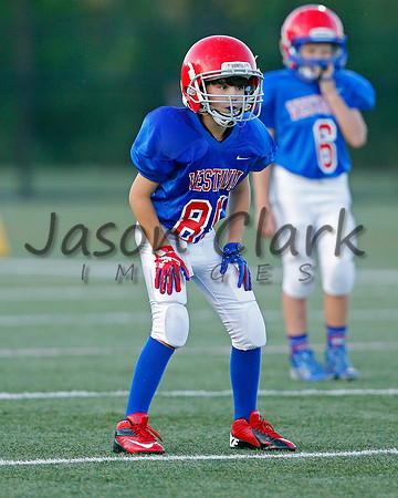Vestavia Hills 4th Grade