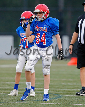 Vestavia Hills 6th Blue
